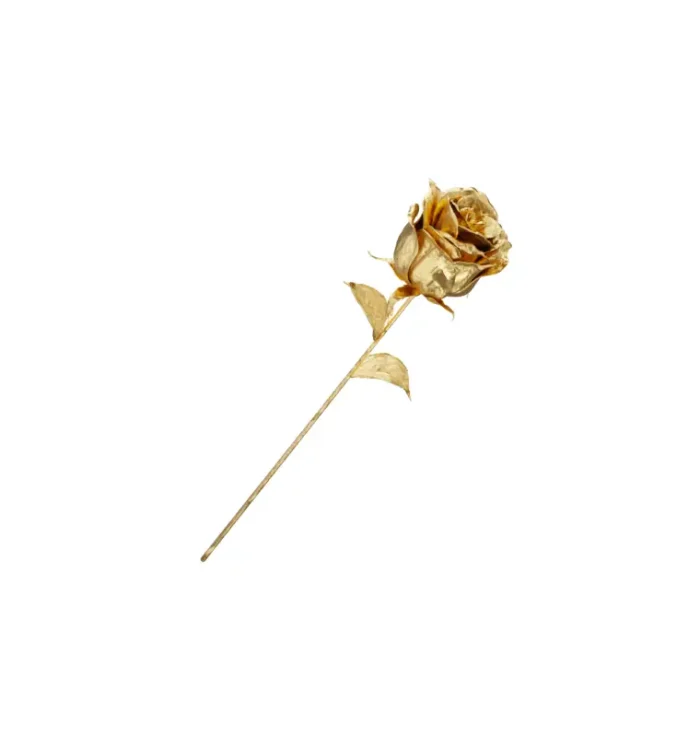 24k gold Luxury Roses