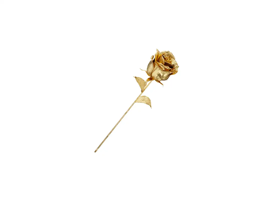 24k gold Luxury Roses