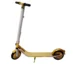 24K gold Segway