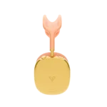 AirPods Max case customized in 24K gold finish with luxury aesthetic by Goldprive