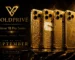 Luxury gold iPhone by GoldPrivé for 2026 guide