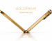 Goldprive 24K Gold iPhone Fold Ultra